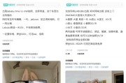 五夫白莲闲鱼：LABUBU搜索量环比上涨1000%，供不应求下现租赁新形式