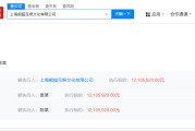 五夫白莲王思聪名下熊猫互娱被执行1210万，此前公司已破产