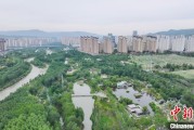 五夫白莲西宁市举办六五环境日主题宣传活动
