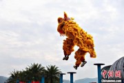 五夫白莲（文化中国行）壮乡狮舞闯南洋：脚踏“云桩” 饮誉海内外